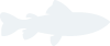 爱游戏官网