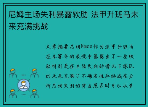 尼姆主场失利暴露软肋 法甲升班马未来充满挑战